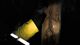 Thumbnail-10
