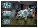 Thumbnail-12