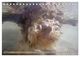 Thumbnail-13