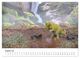 Thumbnail-13