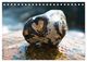 Thumbnail-11