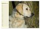 Thumbnail-11
