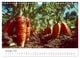 Thumbnail-10