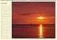 Thumbnail-11