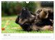 Thumbnail-12