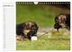 Thumbnail-14