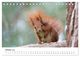 Thumbnail-12