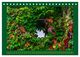 Thumbnail-11