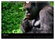 Thumbnail-9