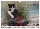 Thumbnail-11