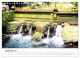 Thumbnail-14