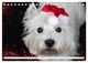 Thumbnail-14