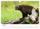 Thumbnail-11