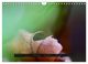 Thumbnail-14