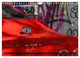 Thumbnail-11