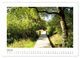 Thumbnail-11