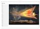 Thumbnail-8