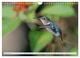 Thumbnail-11