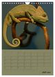 Thumbnail-12