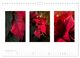 Thumbnail-14