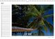 Thumbnail-9