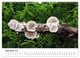 Thumbnail-14