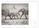 Thumbnail-14