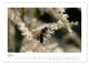 Thumbnail-12