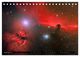 Thumbnail-13
