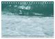 Thumbnail-13