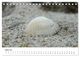 Thumbnail-9