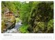 Thumbnail-14