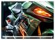Thumbnail-9