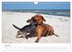 Thumbnail-8