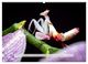 Thumbnail-11