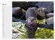 Thumbnail-10