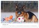 Thumbnail-14