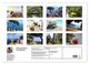 Thumbnail-12