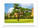 Thumbnail-14