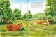 Thumbnail-7