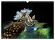 Thumbnail-14