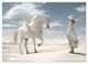 Thumbnail-11