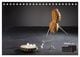Thumbnail-12