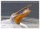 Thumbnail-11
