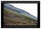 Thumbnail-11