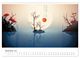 Thumbnail-14