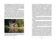 Thumbnail-10