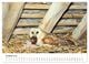 Thumbnail-11