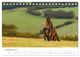 Thumbnail-14