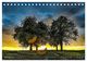 Thumbnail-14